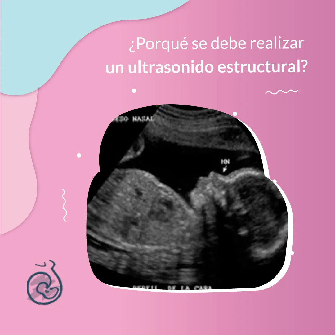 Foto 4 de Dr. Héctor Borboa Olivares, por Dr. Héctor Borboa Olivares, Ginecólogo