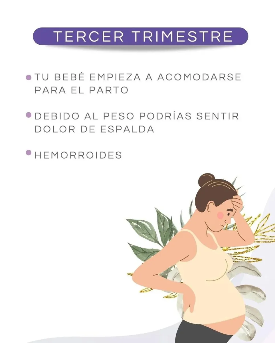 Foto 4 de Soy Mujer, por Soy Mujer