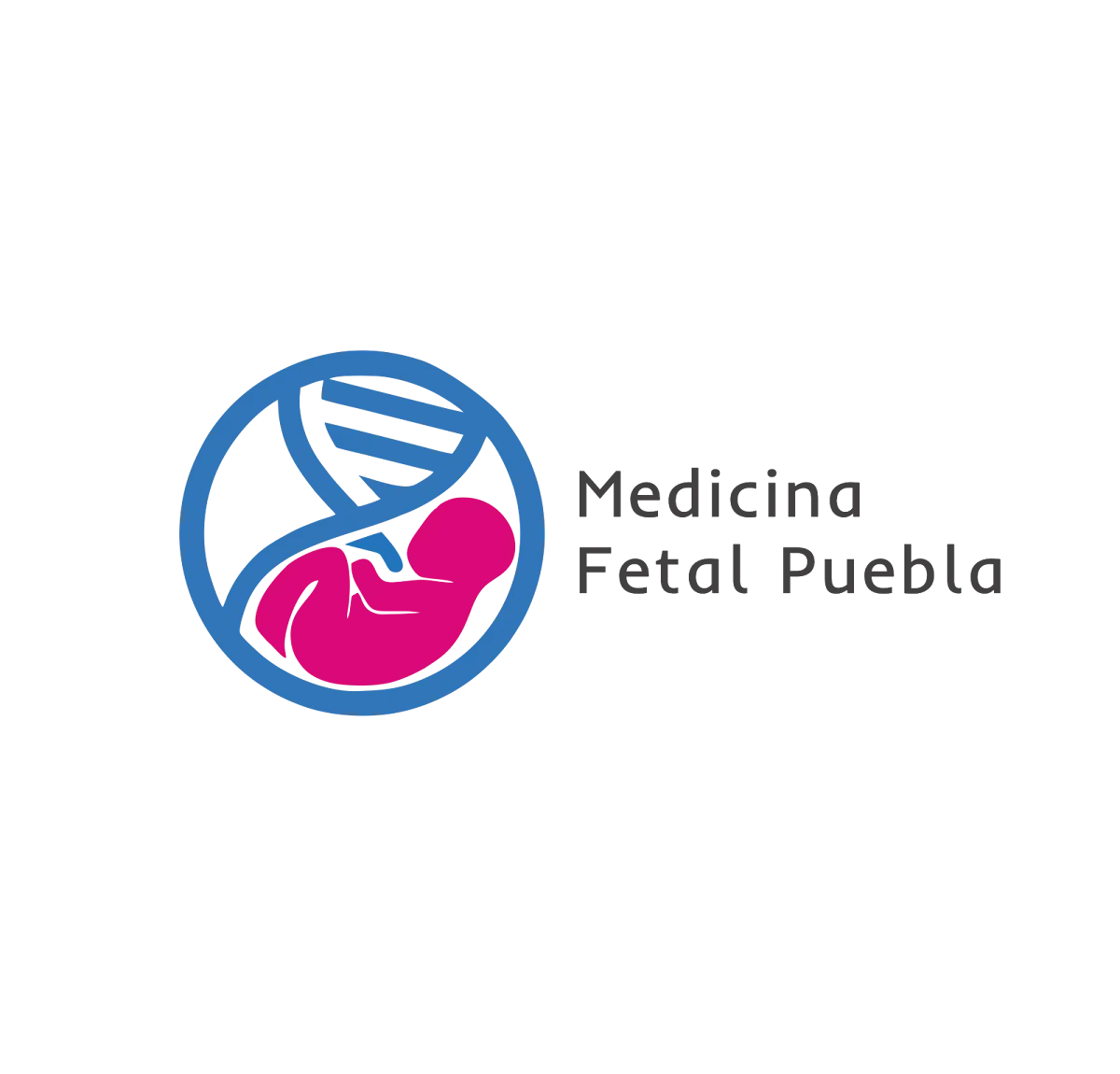 Foto 3 de PreMommy, por PreMommy - Medicina Materno Fetal - Medicina y Cirugía Fetal Puebla