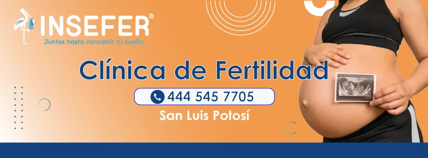 Foto 4 de INSEFER San Luis Potosí, por INSEFER San Luis Potosí