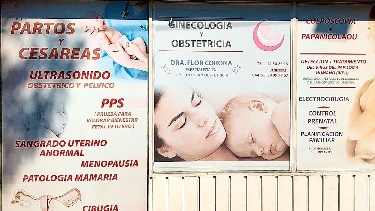Foto 1 de Ginecologia, por GINECOLOGIA