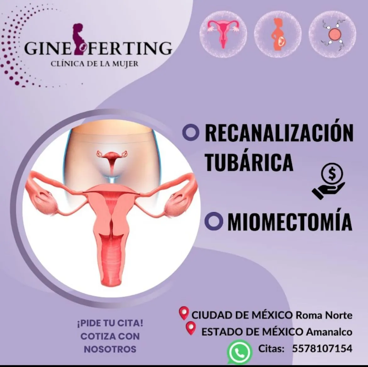 Foto 2 de Gineferting ZITACUARO MICHOACAN, por Gineferting ZITACUARO MICHOACAN