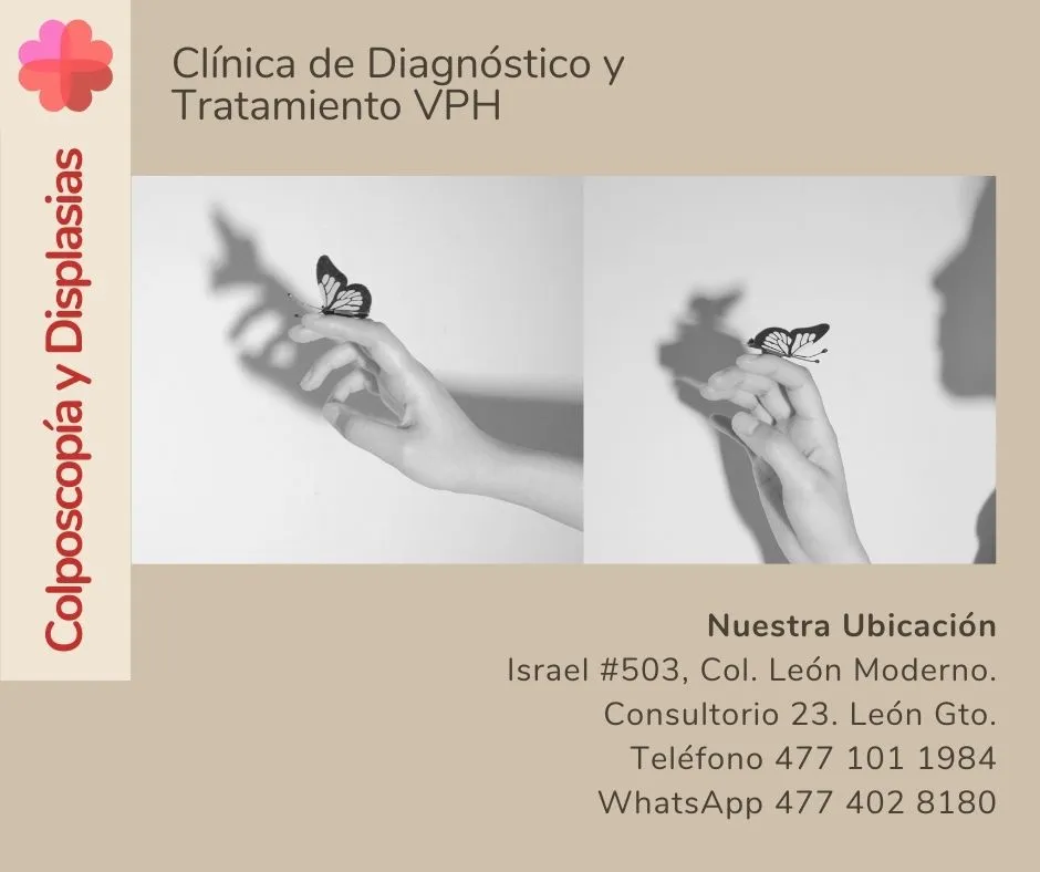 Foto 4 de Colposcopía y Displasias, por Colposcopía y Displasias