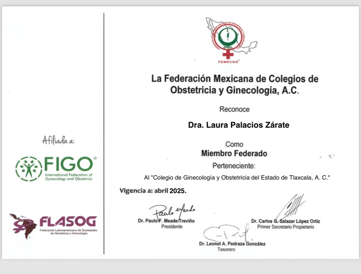 Foto 4 de Dra. Laura Palacios Zarate, por CONSULTORIO GINECOLOGIA Y OBSTETRICIA DRA LAURA PALACIOS ZARATE