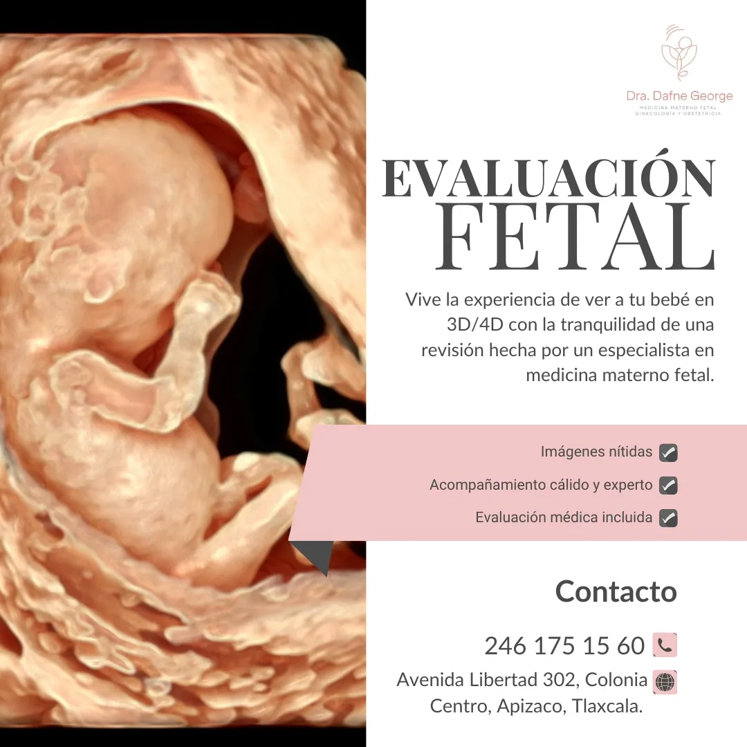 Foto 2 de Dra. Dafne George Medicina Tlaxcala, por Dra. Dafne George Medicina Materno Fetal Tlaxcala