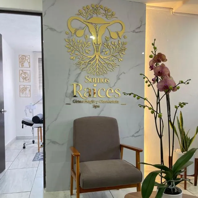 Foto 2 de Somos Raices Ginecologia, por Somos Raices Ginecologia, Obstetricia y Spa