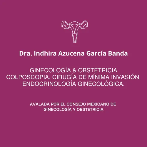 Foto 1 de Dra. CDMX- Indhira García., por Ginecologo CDMX-Dra. Indhira García. Ginecología y obstetricia