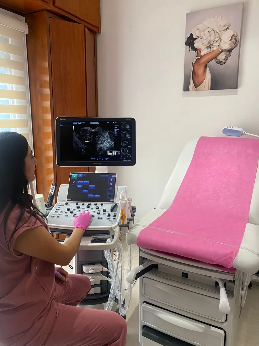 Foto 1 de Dra. Ana Karen Castañeda Solis, por Dra. Ana Karen Castañeda Solis | Ginecología y Obstetricia | Consulta de VPH | Colposcopia | Laparoscopía