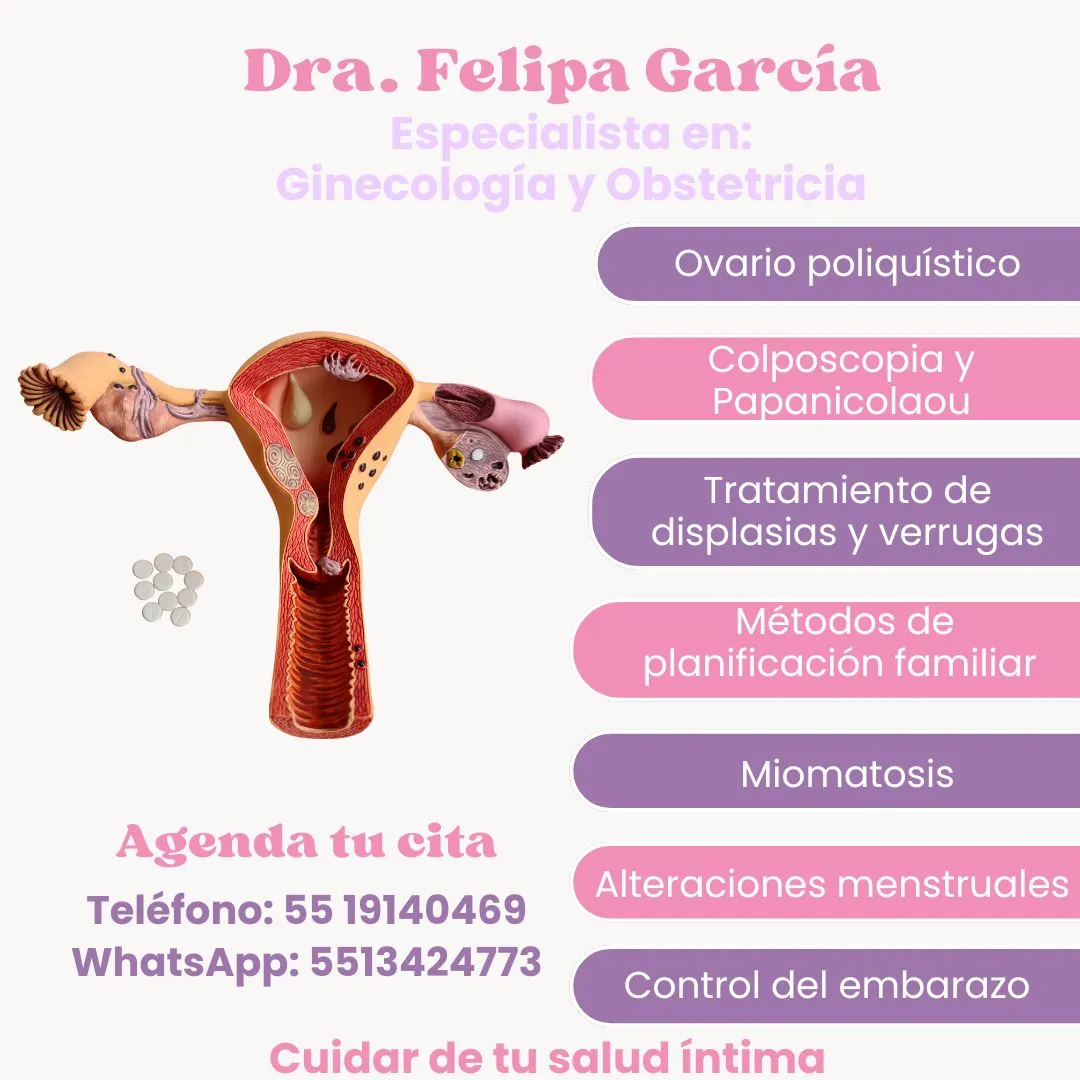 Foto 4 de Dra. de García, por Consultorio de Ginecología y Obstetricia Dra. García