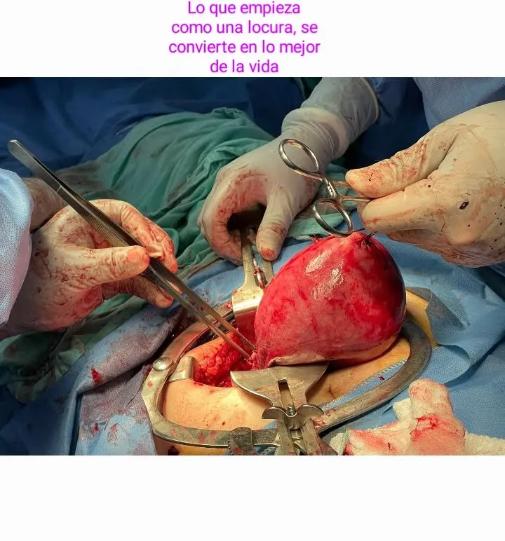 Foto 2 de Ginecologia y Obstetricia, por Ginecologia y Obstetricia