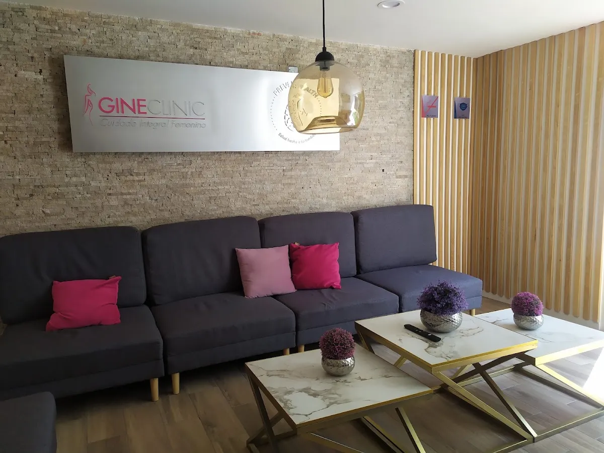 Foto 4 de Gineclinic Sur, por Lucero Duarte