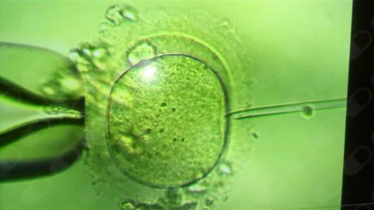 Foto 4 de Dra. Fabiola Sánchez Nava., por Dra. Fabiola Sánchez Nava. Ginecología y Biología de la Reproducción
