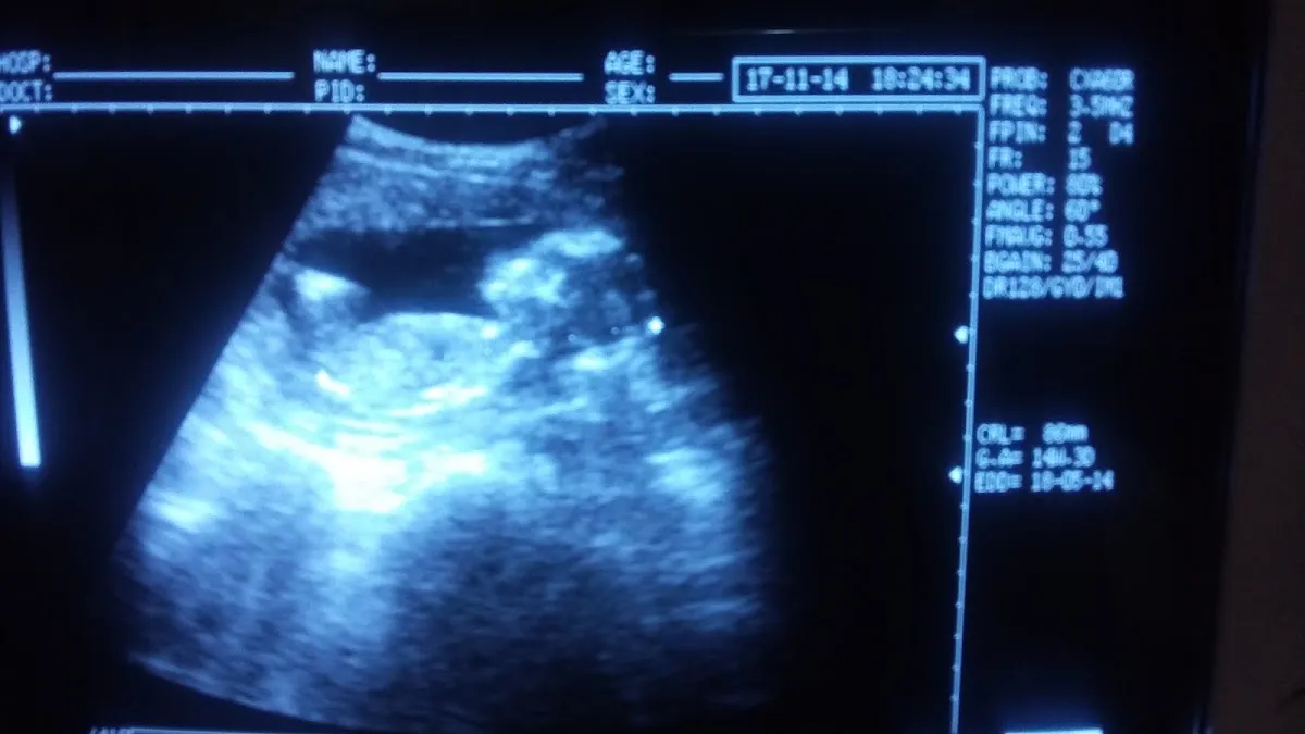 Foto 1 de Consultorio De Ginecologia Y Obstetricia, por Laura Mondragon