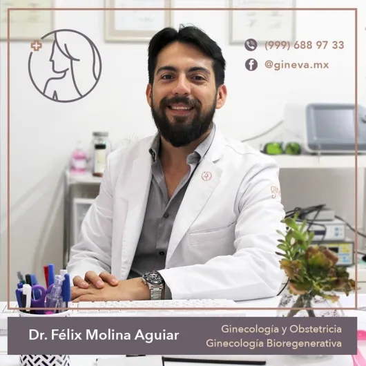Foto 4 de Dr. Félix José Molina Aguiar, por Dr. Félix José Molina Aguiar, Ginecólogo