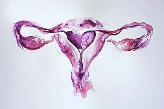 Foto 1 de /Endoscopía Ginecológica, por Ginecología y Obstetricia/Endoscopía Ginecológica
