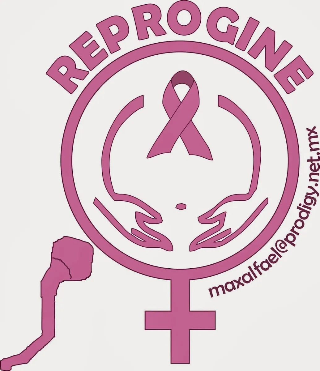 Foto 4 de Dr. José Alejandro López Bastida REPROGINE, por Dr José Alejandro López Bastida REPROGINE ( ginecologia y obstetricia)