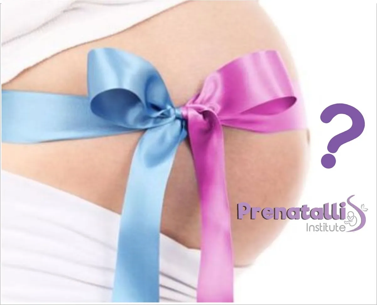 Foto 3 de Dra. Prenatallis Lourdes Brizuela, por Prenatallis Dra. Lourdes Brizuela