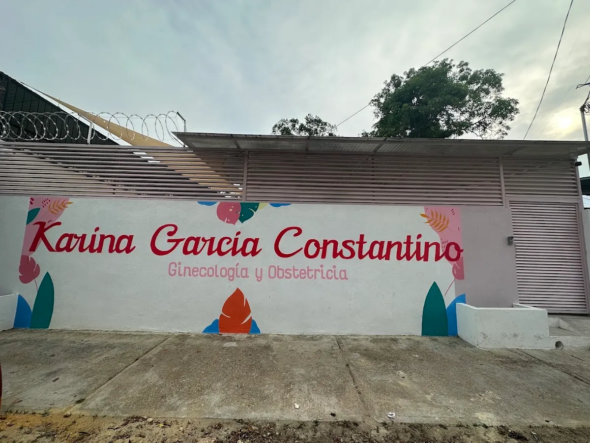 Foto 1 de Dra. Karina García Constantino. . Salud Mía. Clinica de la Mujer., por Salud mía. Clinica de la Mujer. Dra. Karina García Constantino. Ginecología y Obstetricia.