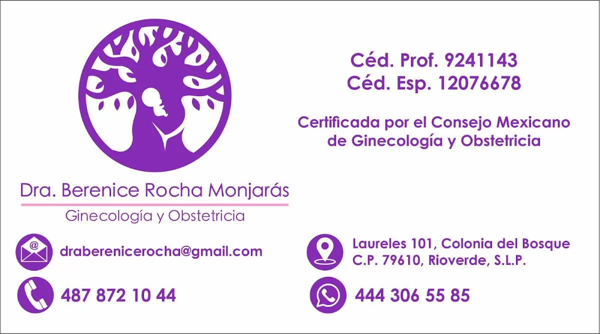 Foto 3 de Dra. Berenice Rocha, por Dra Berenice Rocha Ginecóloga