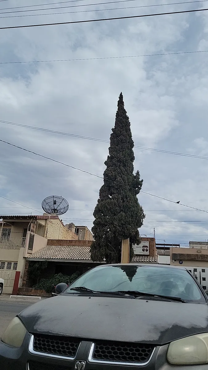 Foto 2 de Centro de Ginecología y Obstetricia de Torreón, por C “Mi Gil por el mundo” A