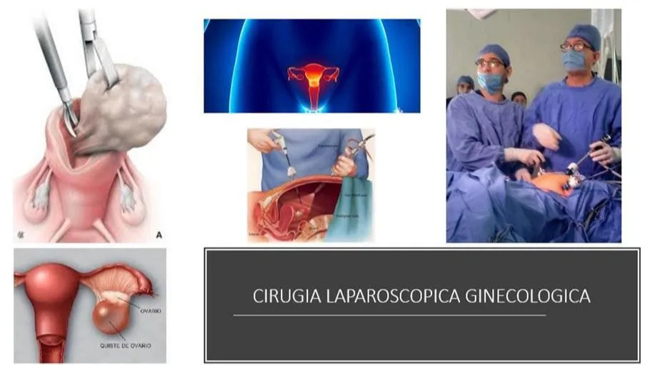 Foto 2 de Centro De Ginecología Obstetricia Y Esterilidad, por Centro De Ginecología Obstetricia Y Esterilidad
