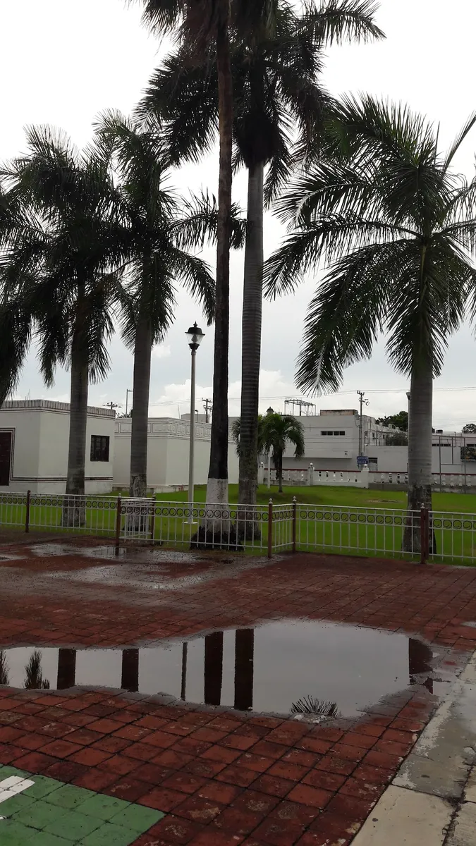 Foto 3 de Hospital Materno Infantil Morelos, por MARTIN VERDAYES MARSH