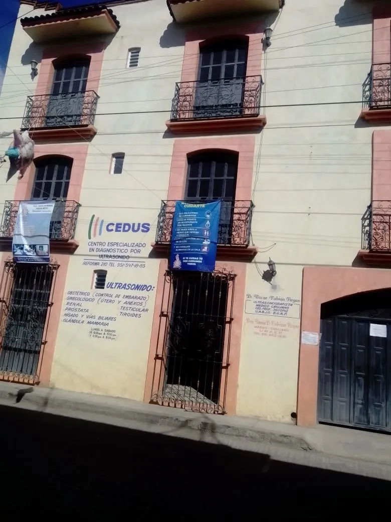 Foto 1 de Cedus Fem, por CEDUS FEM