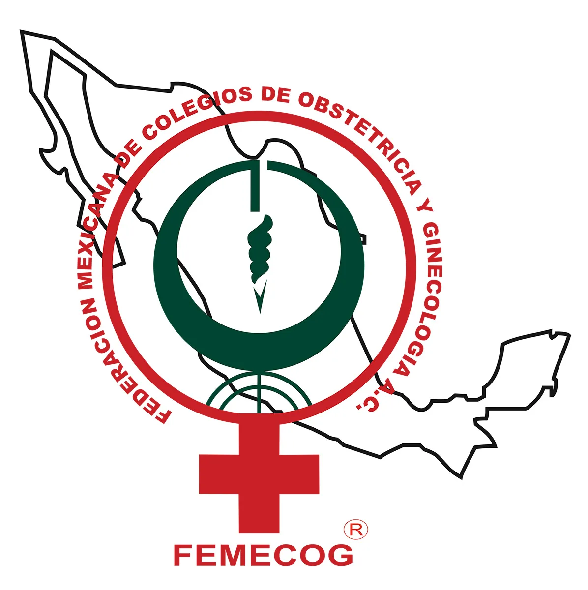 Foto 2 de Federación Mexicana de Colegios, por Federación Mexicana de Colegios de Obstetricia y Ginecología, A.C.