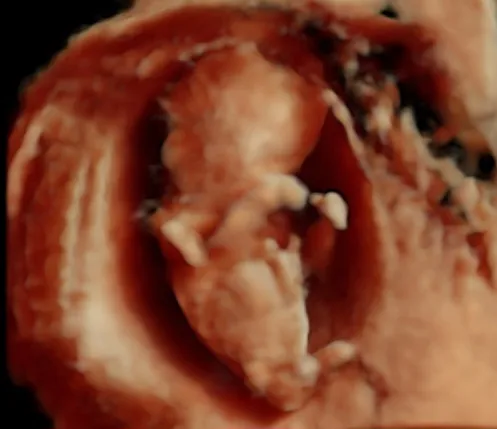 Foto 1 de Cuidar:, por CUIDAR: Ginecología y Obstetricia