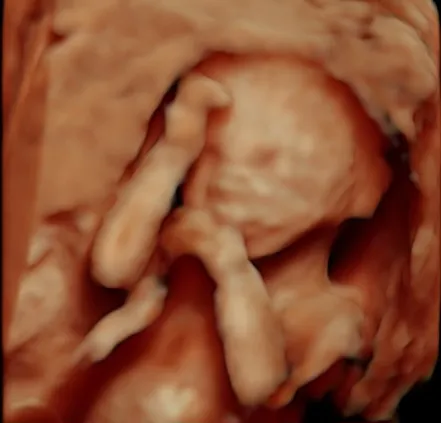 Foto 2 de Cuidar:, por CUIDAR: Ginecología y Obstetricia