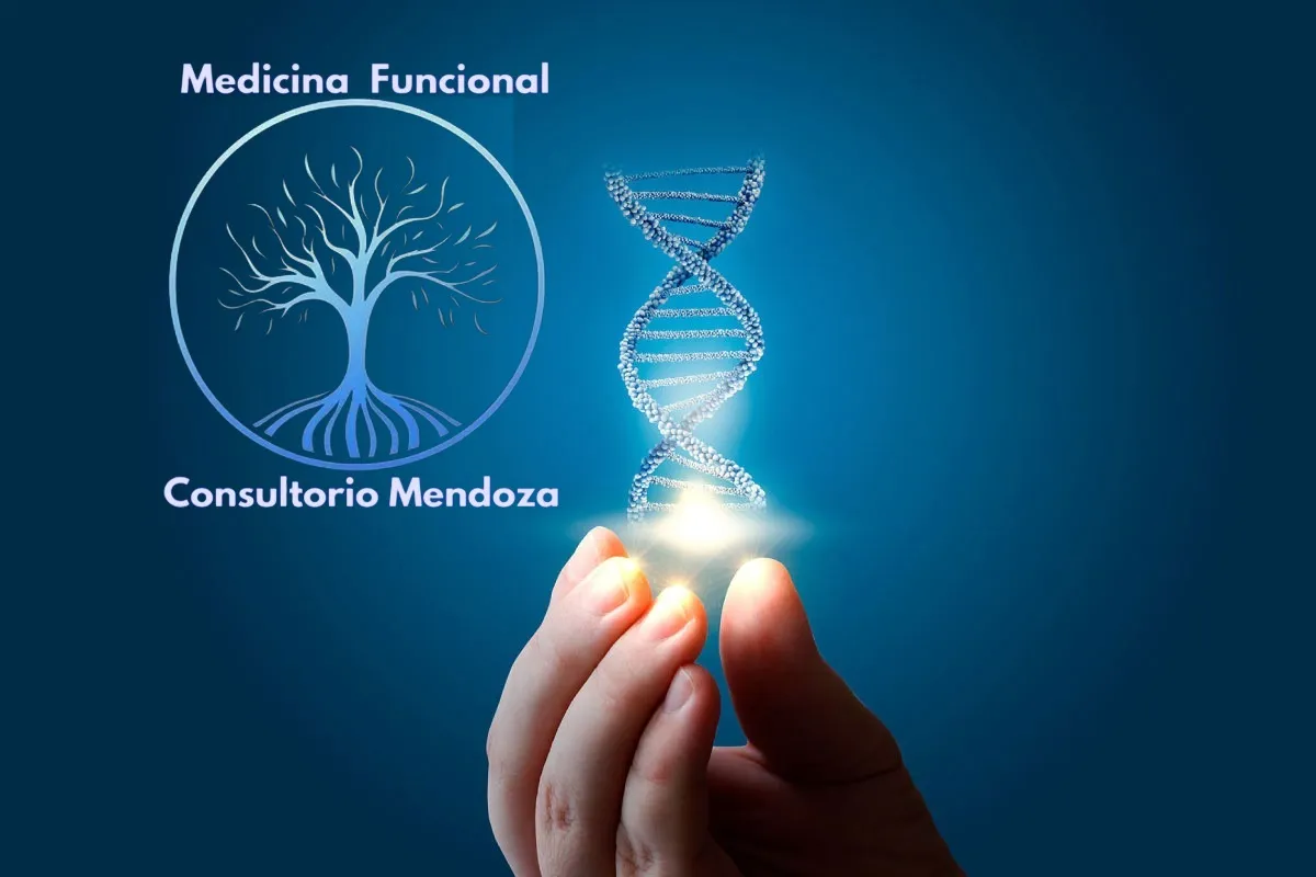 Foto 1 de Medicina Funcional, por Medicina Funcional | Consultorio Medico Mendoza | Colposcopia | Curación y Prevención de Enfermedades