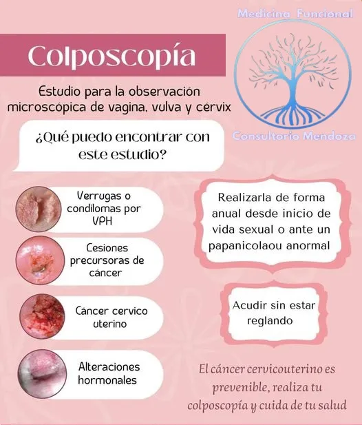 Foto 2 de Medicina Funcional, por Medicina Funcional | Consultorio Medico Mendoza | Colposcopia | Curación y Prevención de Enfermedades