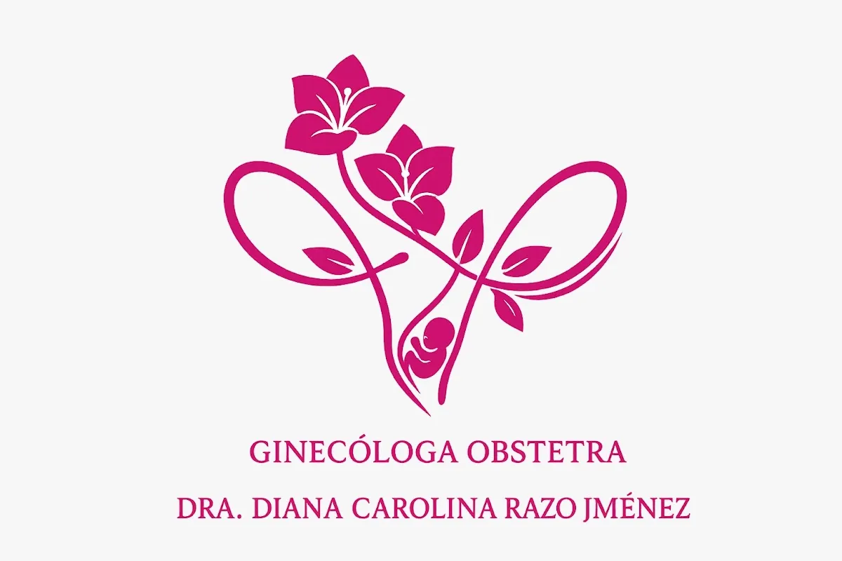 Foto 3 de Dra. Diana Razo, por Dra. Diana Razo Ginecóloga y Obstetra