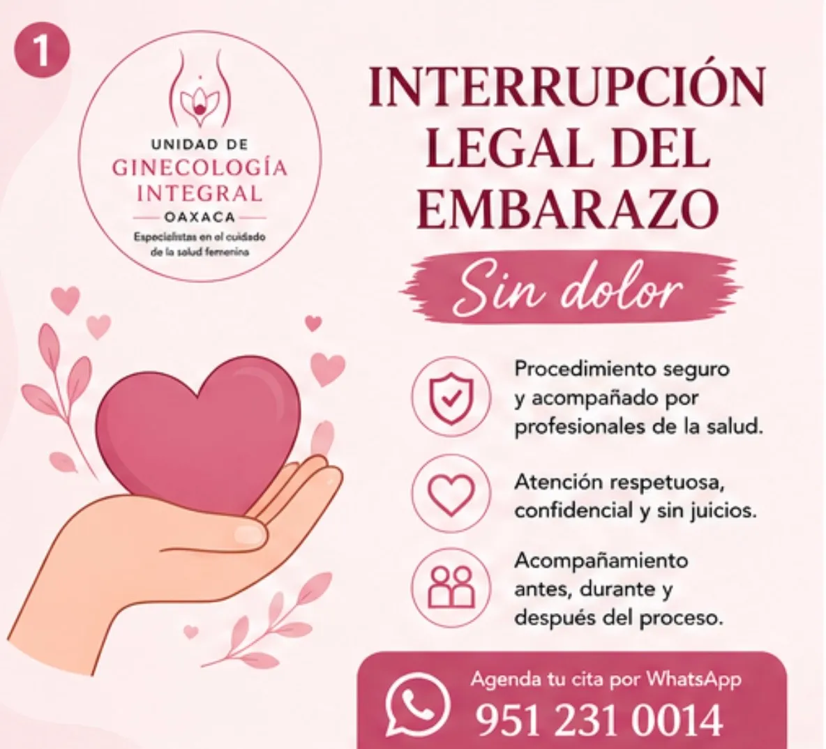 Foto 3 de Unidad de Ginecología Integral Oaxaca/ Aborto, por Unidad de Ginecología Integral Oaxaca