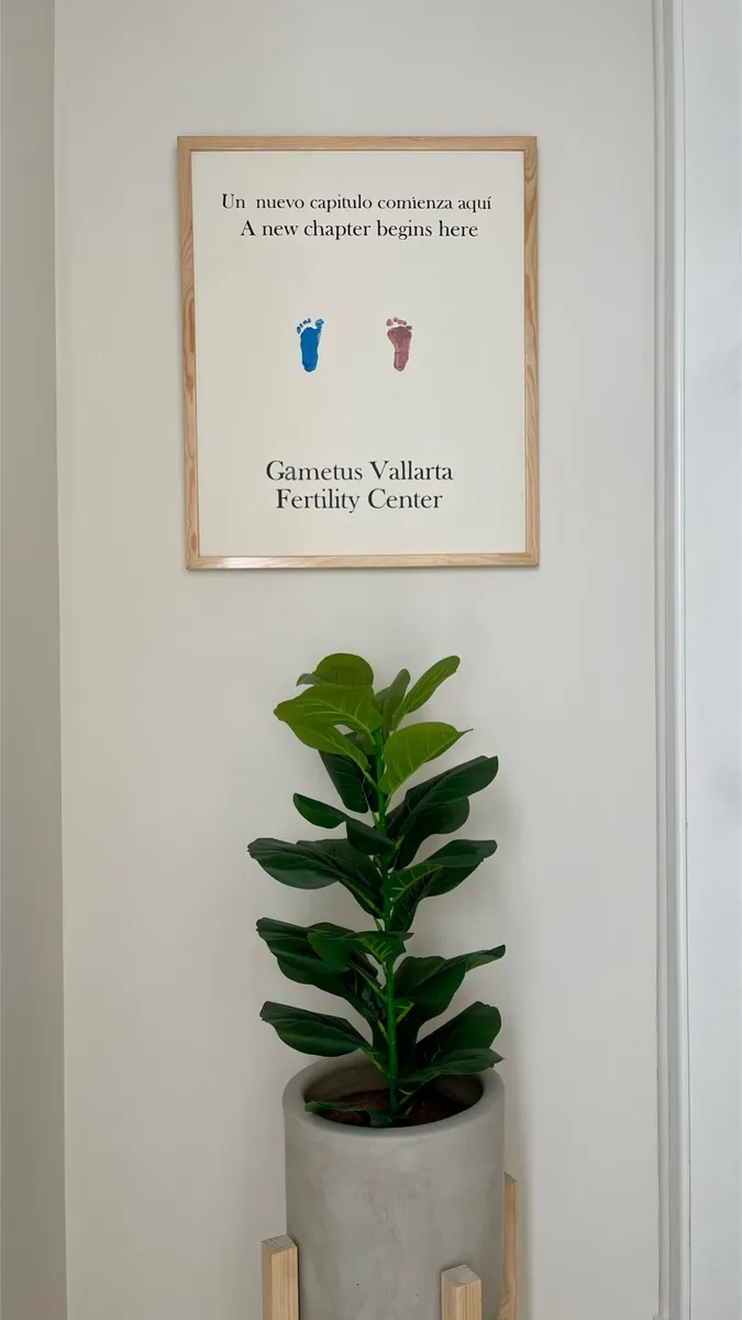 Foto 1 de Gametus Fertility Center Puerto Vallarta, por Gametus Fertility Center Puerto Vallarta