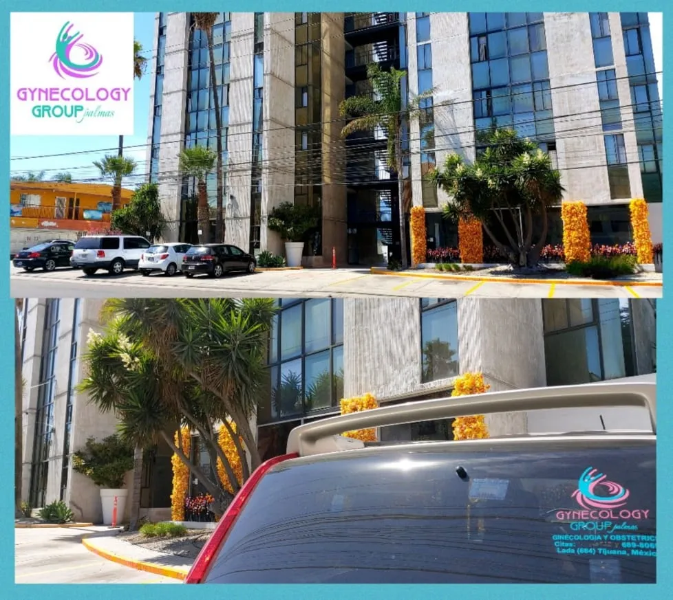 Foto 1 de Gynecology Group Palmas, por Johann Vega Gonzalez