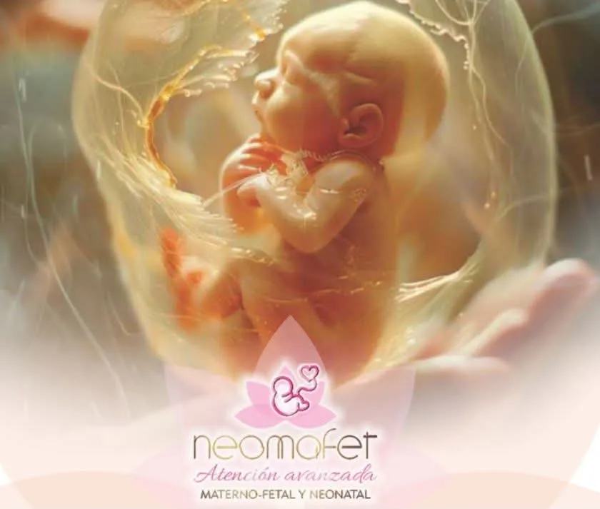 Foto 1 de Neomafet (Materno-Fetal), por Neomafet