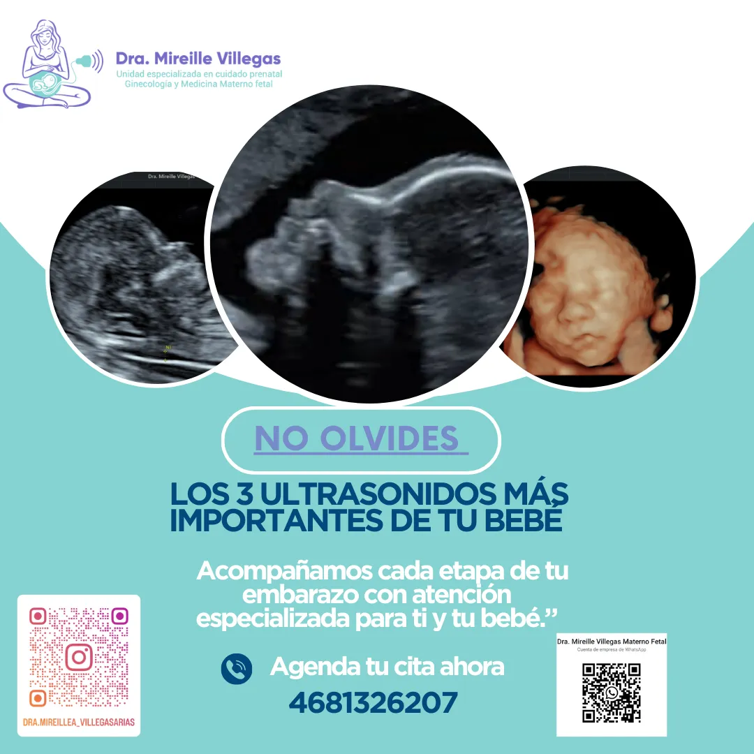 Foto 3 de Dra. Mireille Villegas y Medicina, por Dra. Mireille Villegas Ginecología y Medicina Materno Fetal, San Luis de la Paz