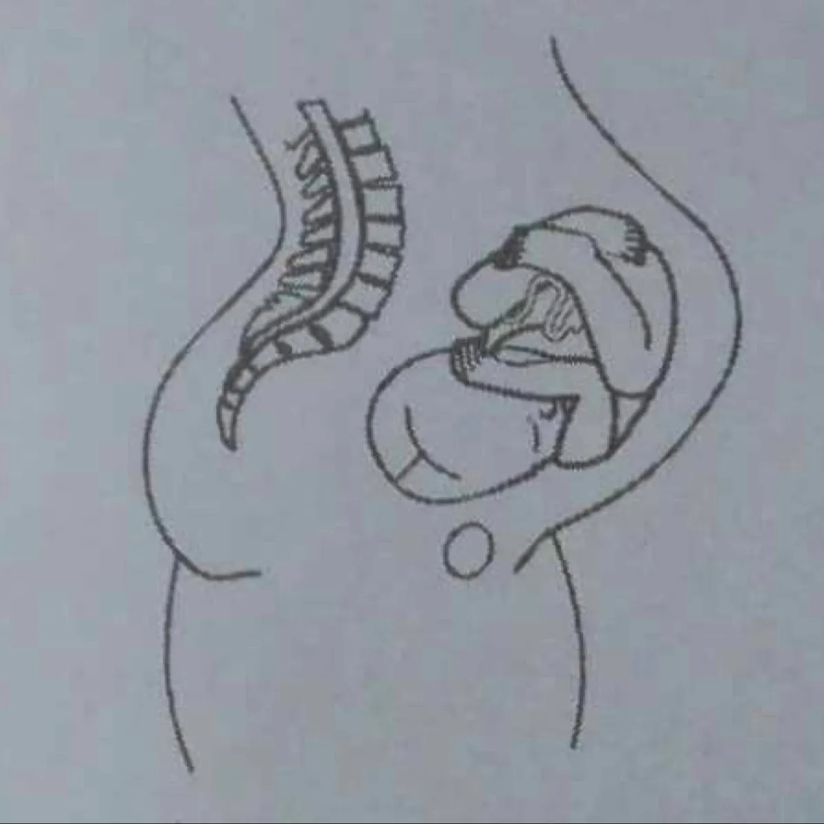 Foto 4 de Dr. Moisés Gálvez Valdivieso, por Dr. Moisés Gálvez Valdivieso
