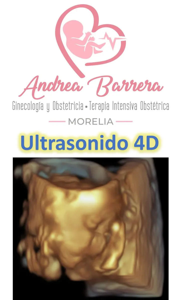 Foto 4 de Ginecologa - Embarazo de Alto Riesgo, por Ginecologa - Embarazo de Alto Riesgo