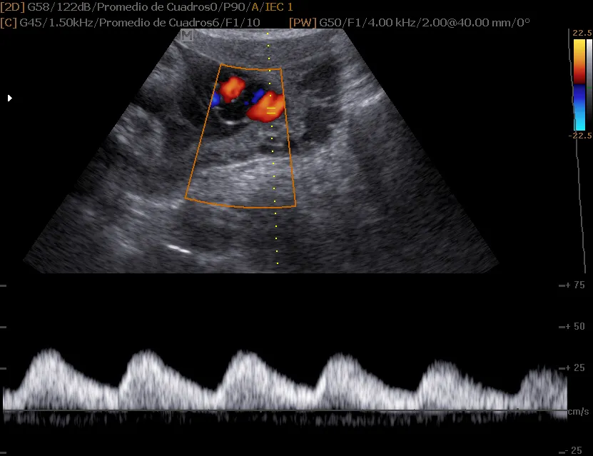 Foto 1 de Servicios Ginecologicos y Obstetricos Especializados, por SERVICIOS GINECOLOGICOS Y OBSTETRICOS ESPECIALIZADOS