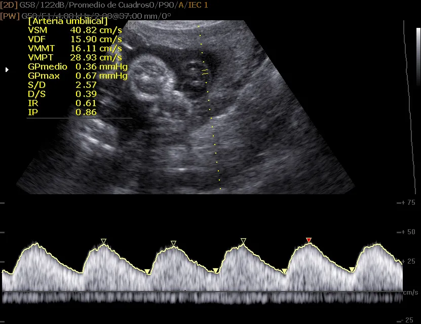 Foto 3 de Servicios Ginecologicos y Obstetricos Especializados, por SERVICIOS GINECOLOGICOS Y OBSTETRICOS ESPECIALIZADOS