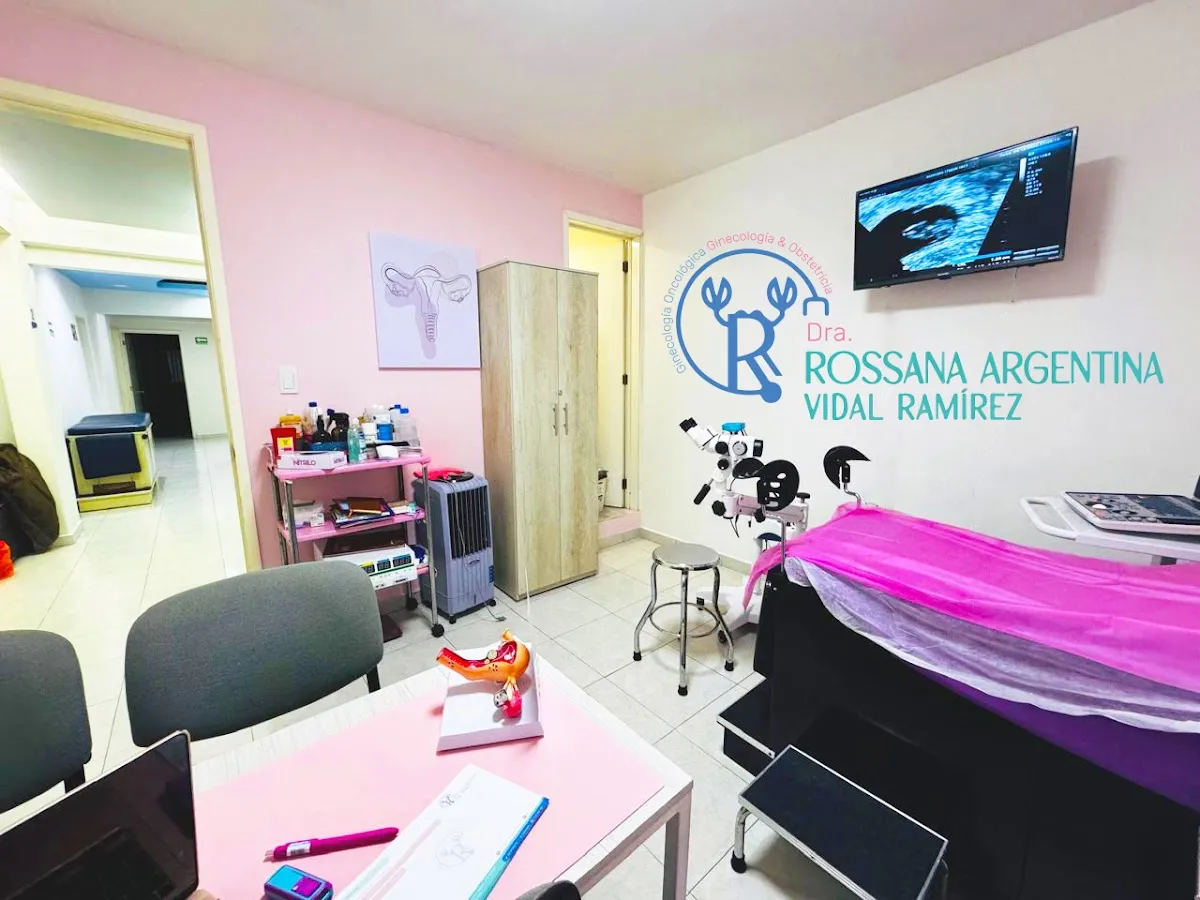 Foto 2 de Dra. Rossana Vidal Neza, por Dra Rossana Vidal Ginecología Neza