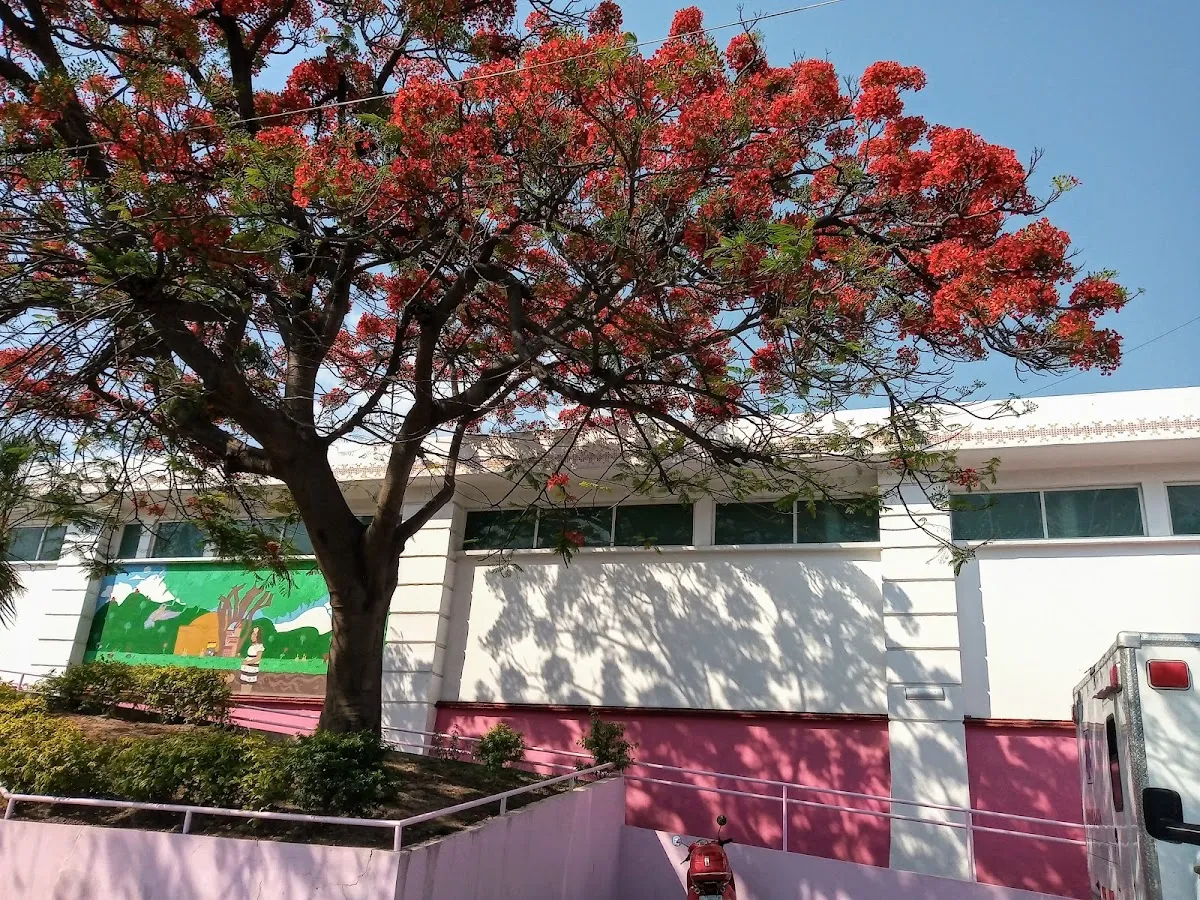 Foto 1 de Unidad de Parteria Alameda Chilpancingo, por Níger Man