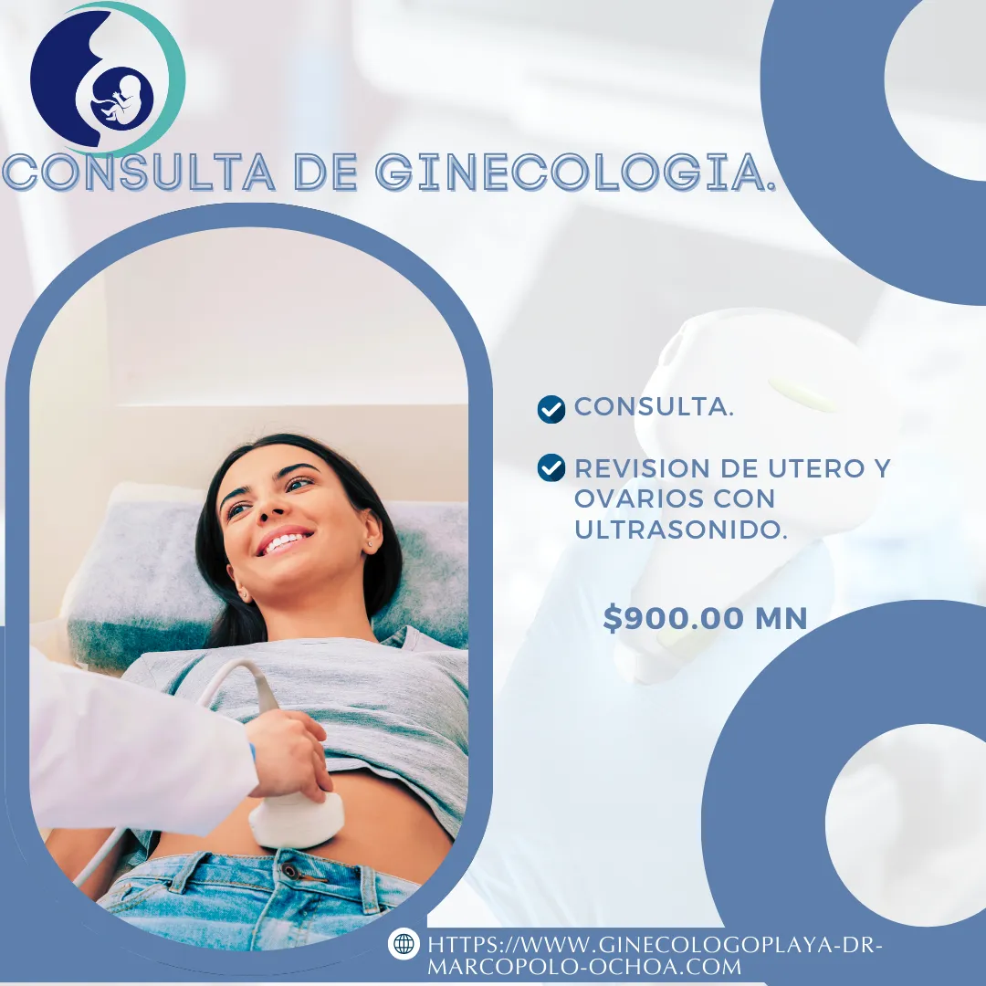 Foto 3 de Dr. en Playa del Carmen- Marco Polo Ochoa Contreras, por Ginecologo en Playa del Carmen- Dr. Marco Polo Ochoa Contreras