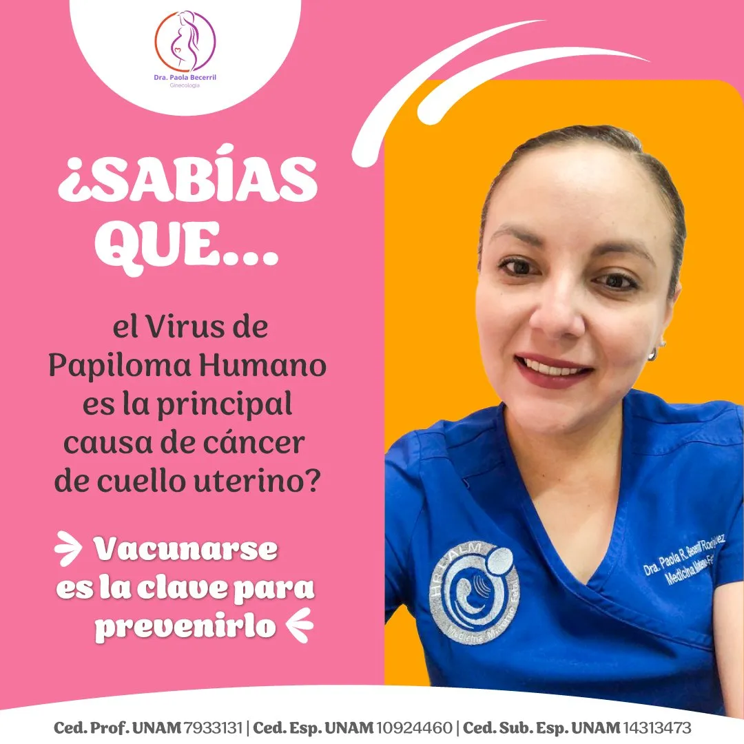 Foto 4 de Dra. Paola Becerril Rodríguez, por Dra. Paola Becerril Rodríguez