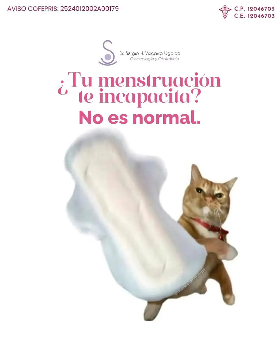 Foto 4 de Dr. Sergio Vizcarra SLP, por Dr. Sergio Vizcarra Ginecólogo SLP