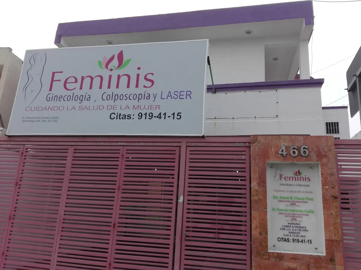 Foto 1 de Feminis, por Jorge Braga