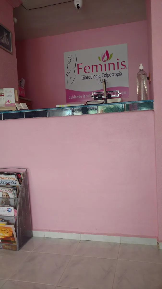 Foto 2 de Feminis, por Ariadna Carrillo