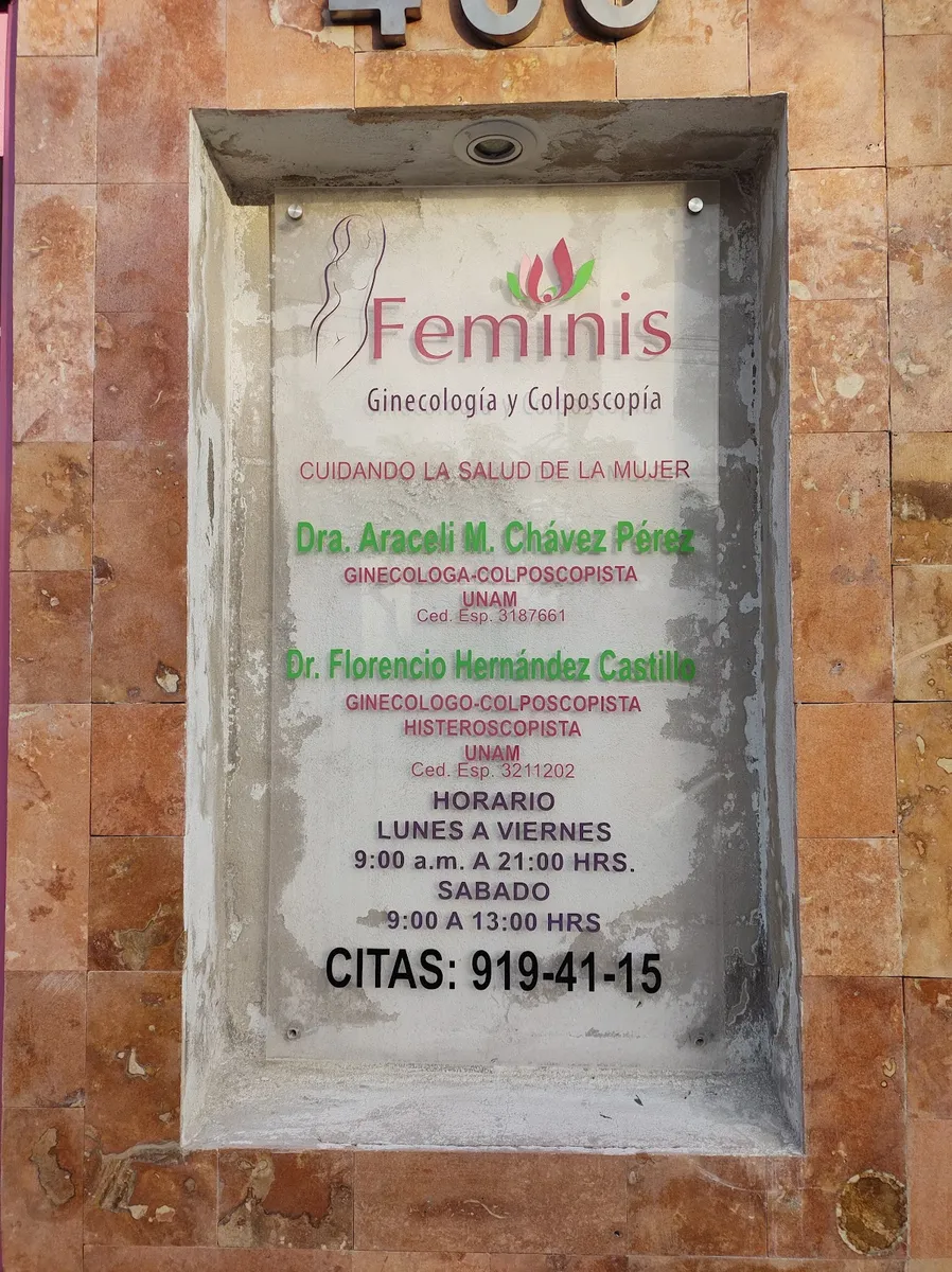 Foto 3 de Feminis, por Augusto Camarero